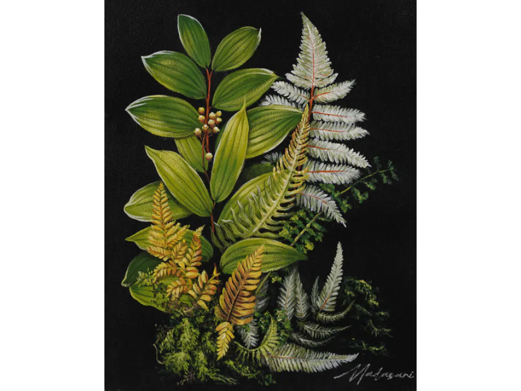 Fern Forest - Alternative View