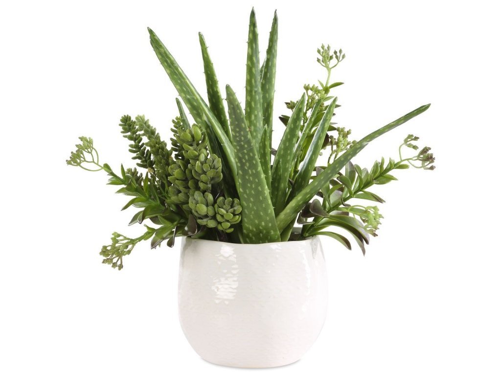 Sundown Succulent Accent