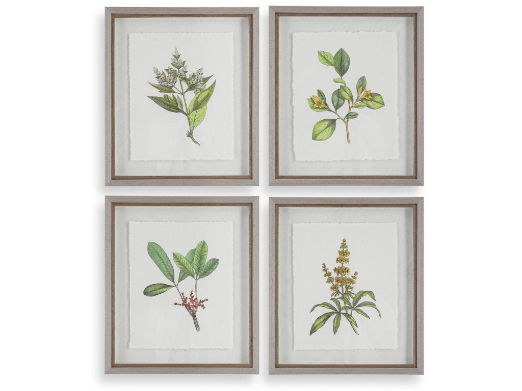 Wildflower Study Framed Prints, S/4