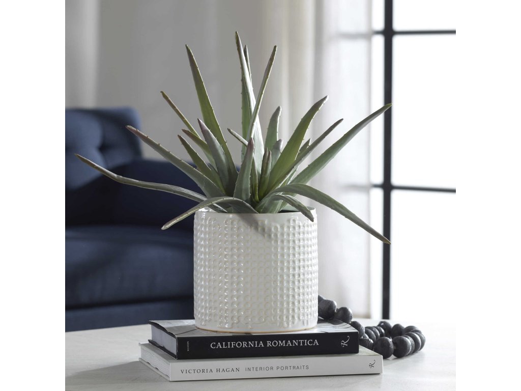 Taos Aloe Centerpiece