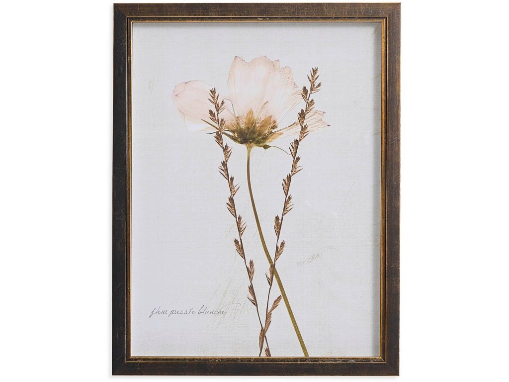 Sepia Pressed Wildflower II