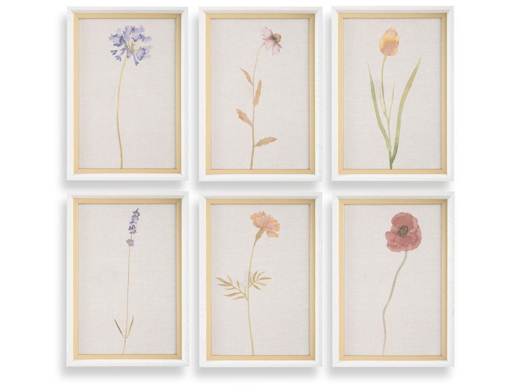 Wild Flourish Framed Prints, S/6