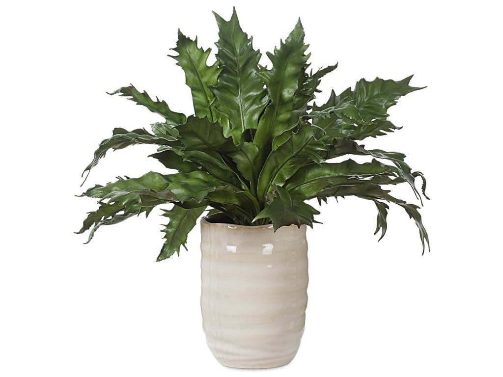 Verdure Fern