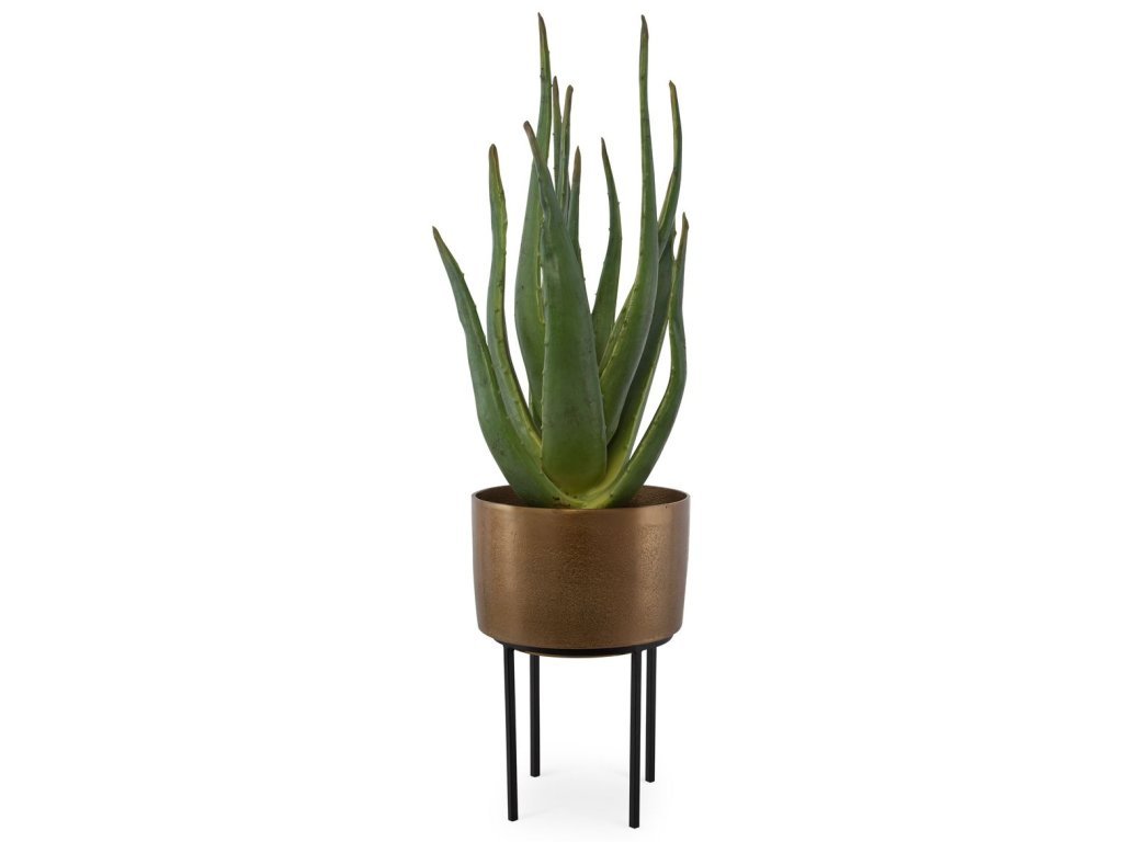 Arabia Aloe Planter, 2 Cartons