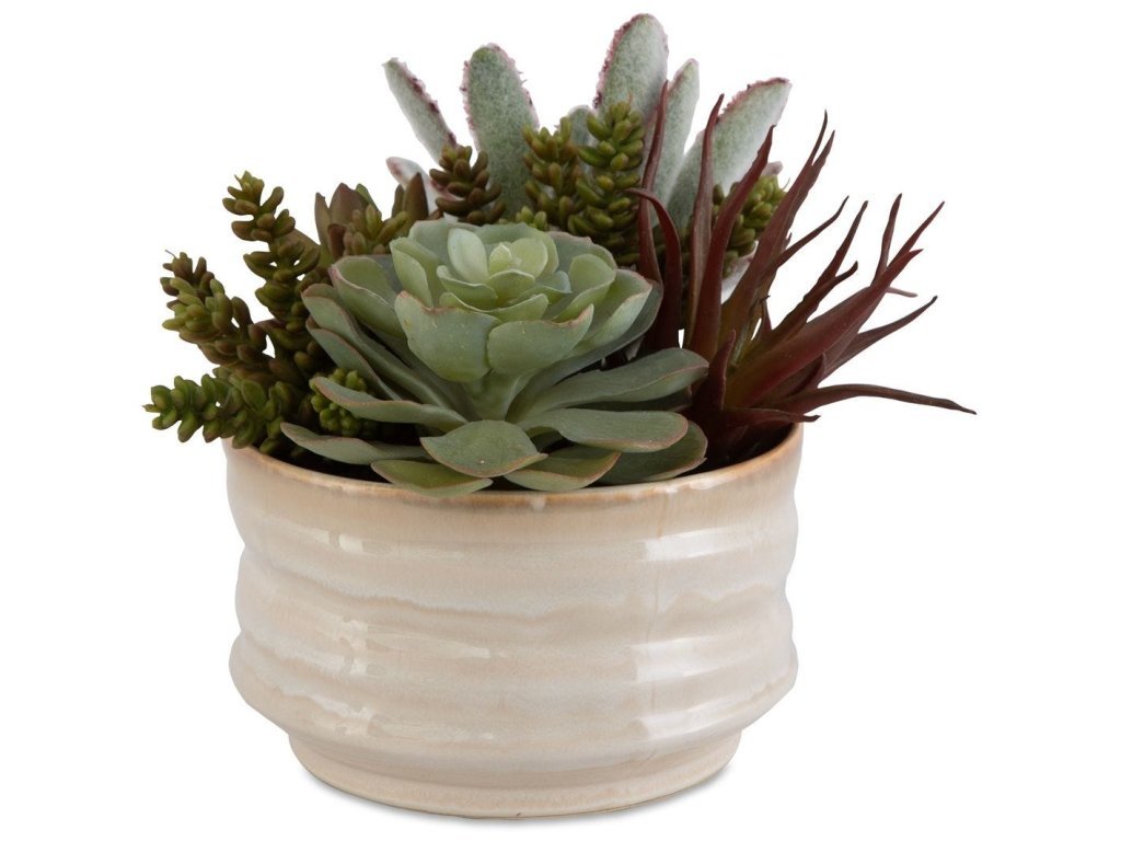 Mesa Succulent Accent