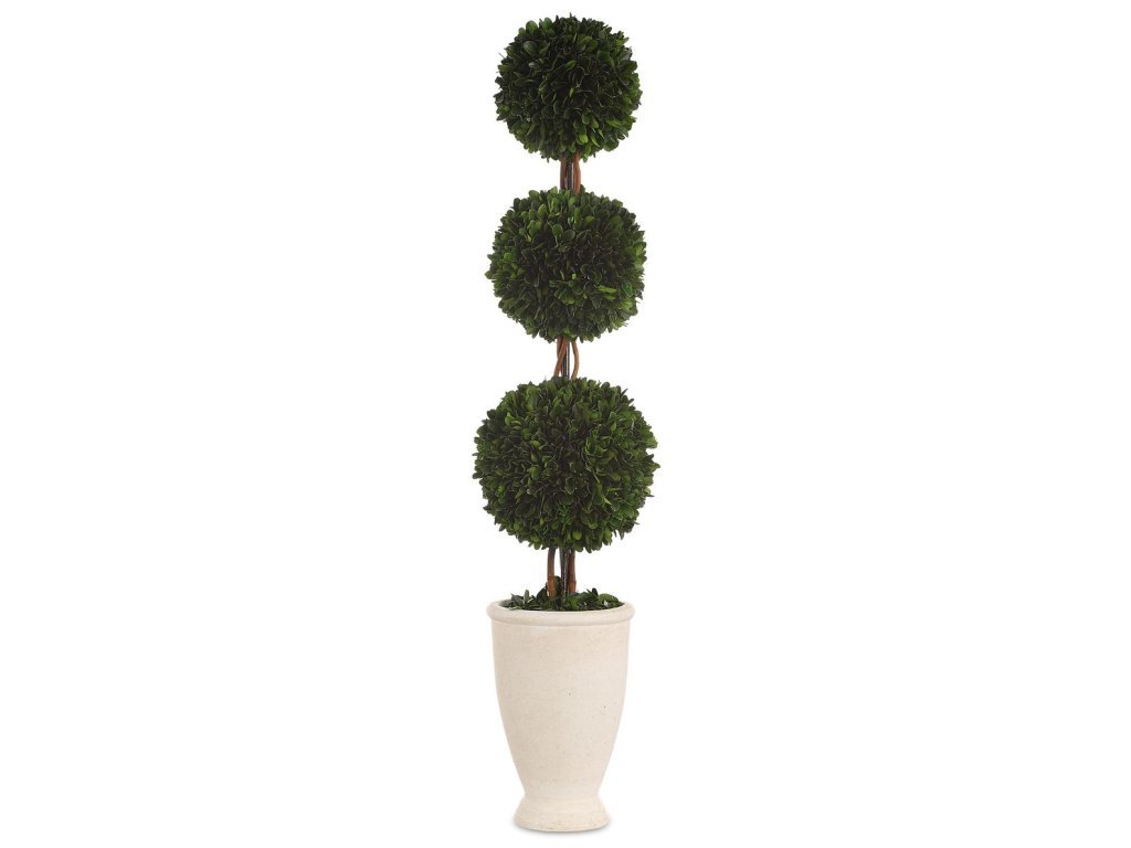 Preserved Boxwood Triple Topiary