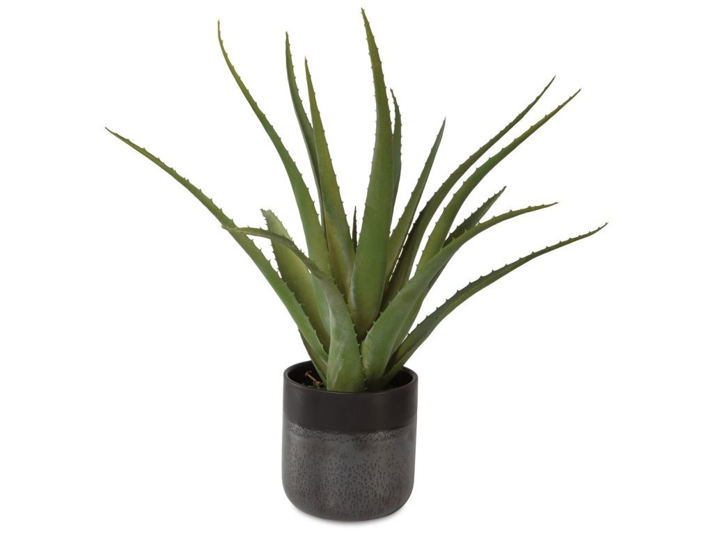 Tucson Aloe Planter