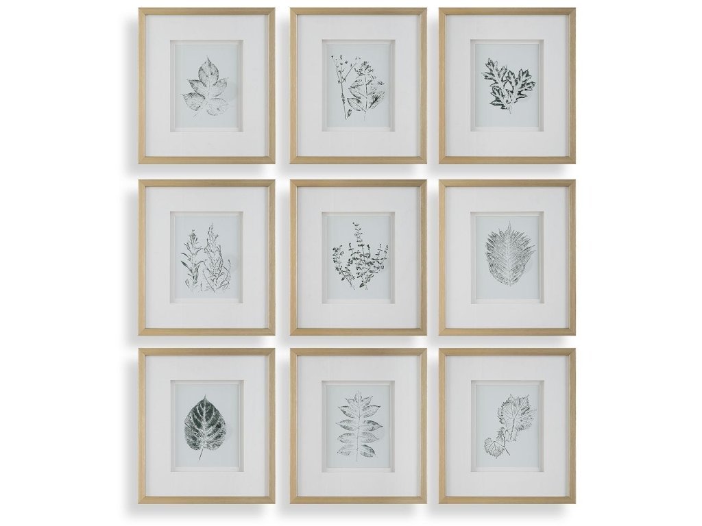 Nature'S Script Framed Prints, S/9