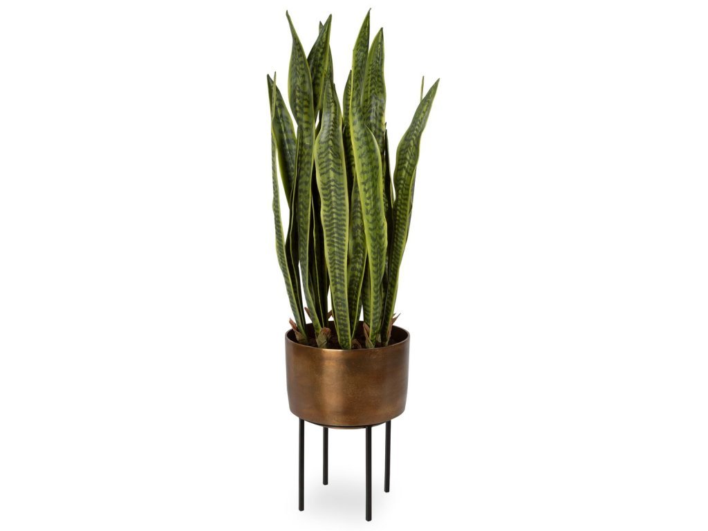 Fasita Planter, 2 Cartons